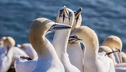 开云体育在线-巴黎血洗拜仁，托雷斯统治全场