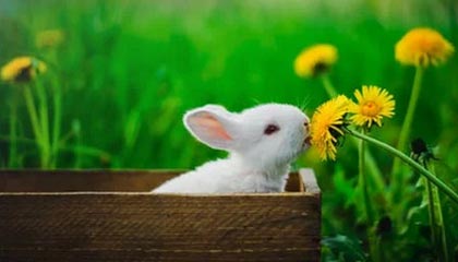 开云体育在线-拜仁封神夜！数据铁幕锁死姆巴佩，欧冠登顶的终极密码